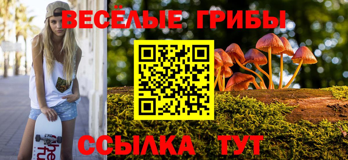Щёлково  Псилоцибиновые грибы ЛСД  Вход с VPN 